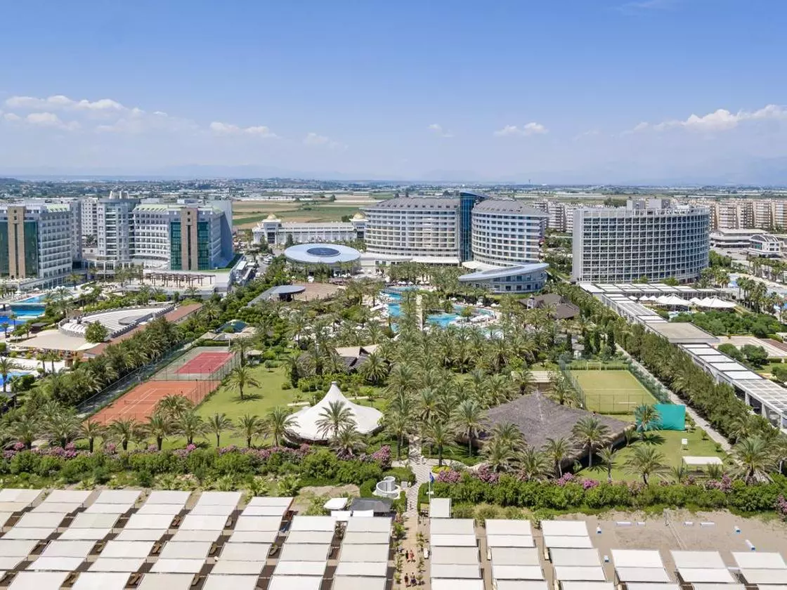 ROYALWING_SHABAVIZ (16).jpg